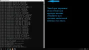 batnik.webp