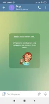 14.webp