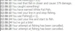fish.webp