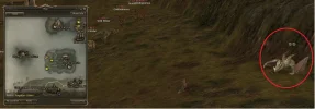 1708278775527.webp