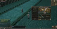 skins.webp