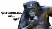 images.webp